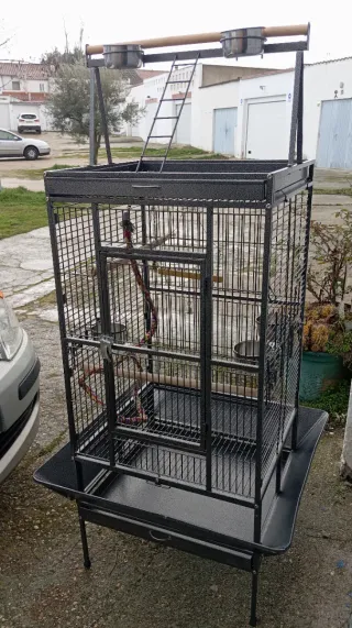 Jaula Volandera Negra y Multicolor