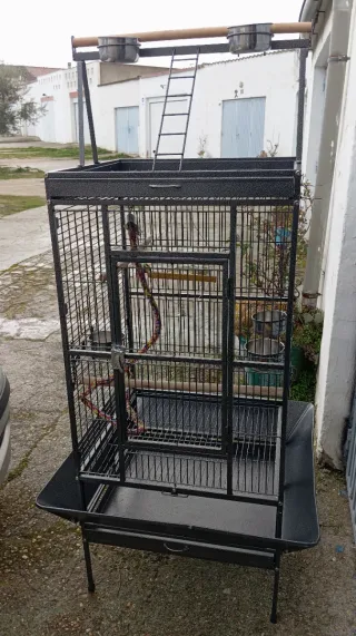 Jaula Volandera Negra y Multicolor