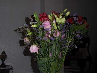 Panasonic Lumix TZ70 Cámara Compacta