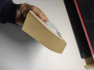 Perdona si te llamo amor