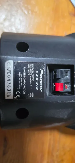 Altavoces Bose 301 Serie III