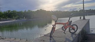 Bicicleta plegable Birdy Riesse