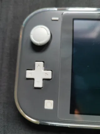 Nintendo Switch Lite Gris
