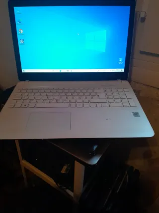Sony Vaio Portátil Plata y Blanco