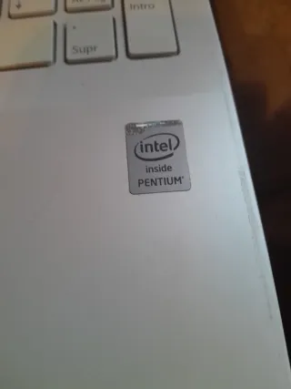 Sony Vaio Portátil Plata y Blanco