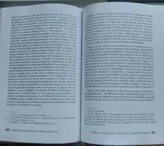 Maneras de narrar espacios y tiempos: Ad fontes...