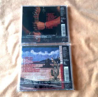 Lote CD Bruce Springsteen Human Touch / Lucky Town