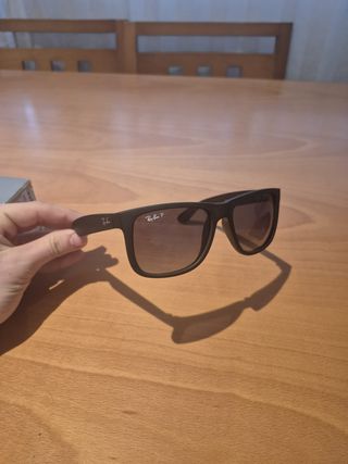 Gafas de Sol Ray-Ban Negras y Marrones