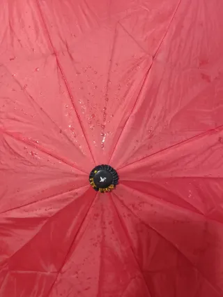 Paraguas Christian Dior CD Original