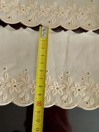 Puntilla bordada con flores