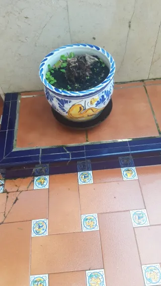 4 macetas de cerámica