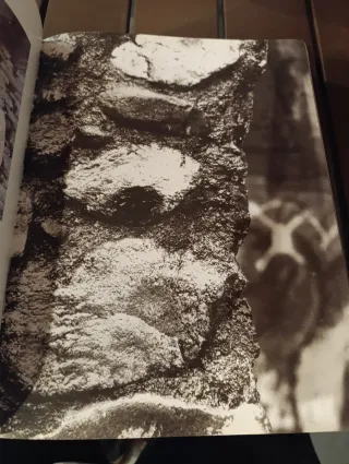 L' ética del gusto. Santi Santamaría el Racó de ca