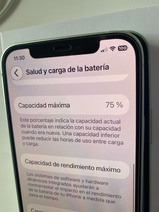 iPhone 12 Verde