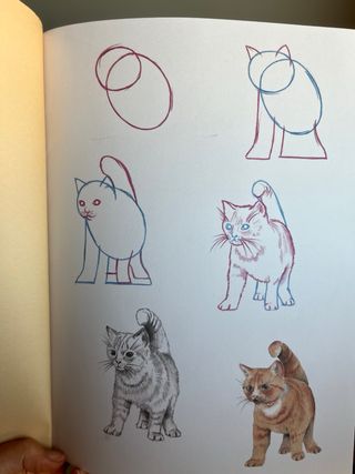 Cómo dibujar gatos en sencillos pasos