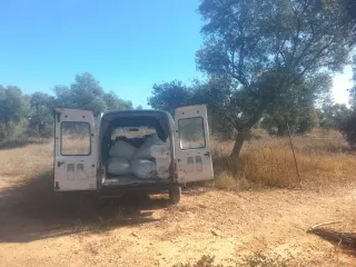 Portes y retirada de escombros