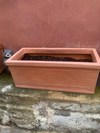 Macetas marrones y verdes