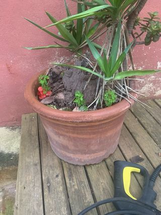 Macetas marrones y verdes