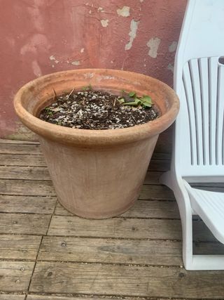 Macetas marrones y verdes