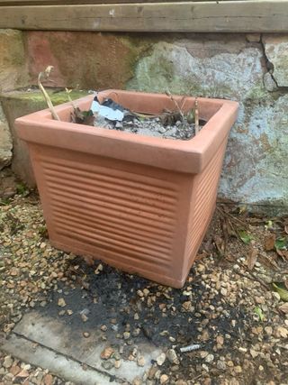 Macetas marrones y verdes