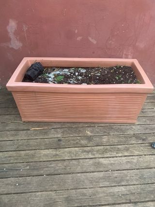 Macetas marrones y verdes