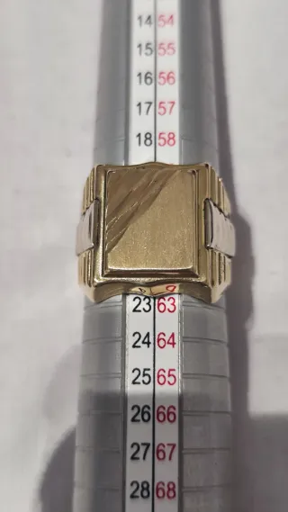 Anillo Sello Oro Hombre Nuevo