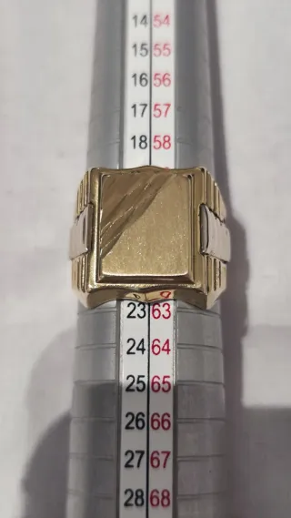 Anillo Sello Oro Hombre Nuevo