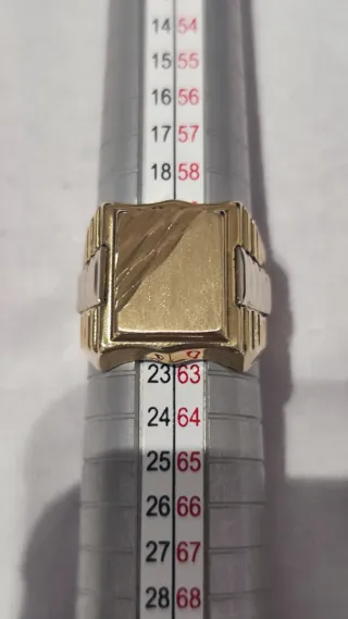 Anillo Sello Oro Hombre Nuevo