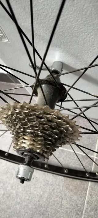 Rodillo y rueda para bicicleta