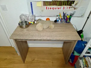 Escritorio madera y plástico