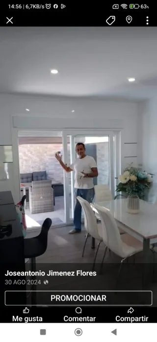 Pintores profesionales