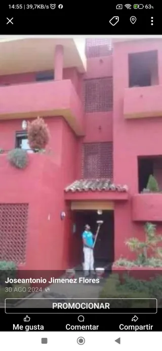 Pintores profesionales