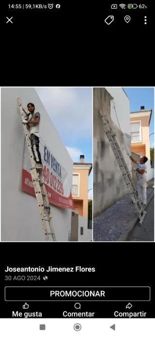 Pintores profesionales