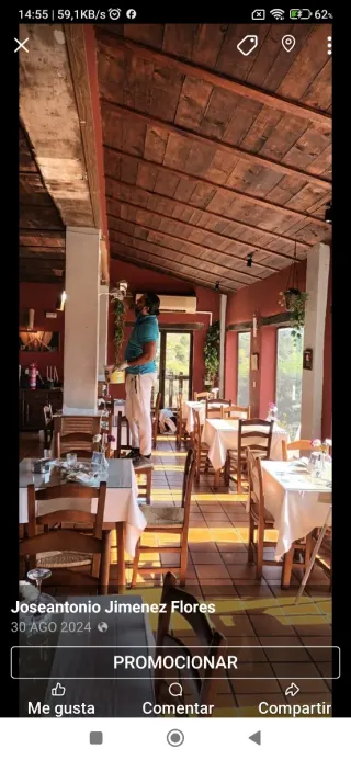 Pintores profesionales