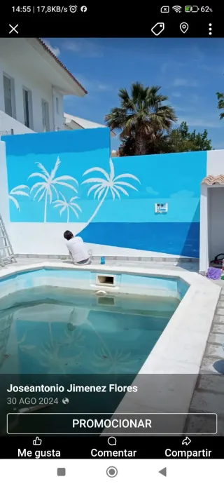 Pintores profesionales