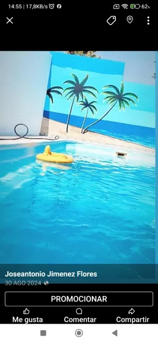 Pintores profesionales