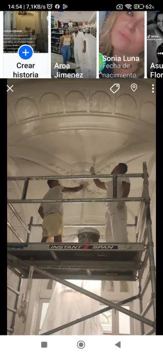 Pintores profesionales