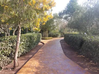 Pavimento impreso imitación piedra