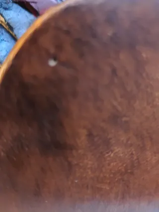 Busto Jefe Indio Talla Artesanal