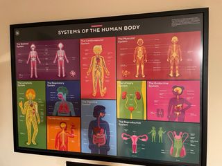 4 Posters Cuerpo Humano Mapa Mundial y mas.