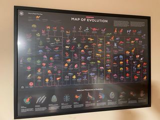 4 Posters Cuerpo Humano Mapa Mundial y mas.