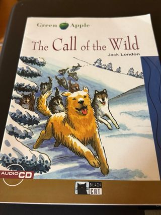 Henry VIII & Six Wives (Oxford Bookworms Library)