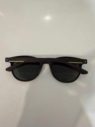 Gafas de Sol Calvin Klein Marrones