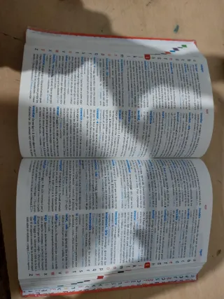 Diccionario valenciano