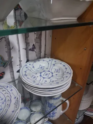 Antigua vajilla alemana porcelana azul y blanco