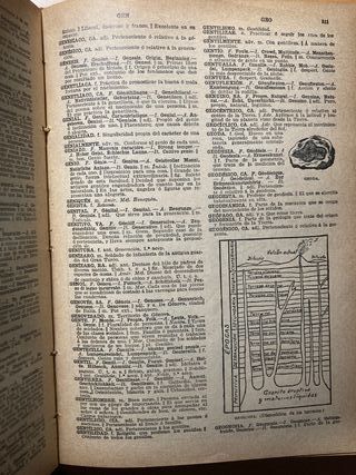 PAL·LAS - DICCIONARIO ENCICLOPEDICO - EN 5 IDIOMAS