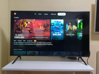 Samsung Smart TV 4K 43 (LEER)