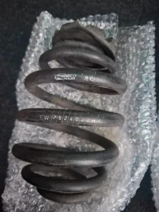 Muelles traseros Eibach Clio 2 RS Sport