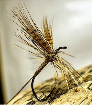 MOSCAS PARA LA PESCA DE TRUCHAS