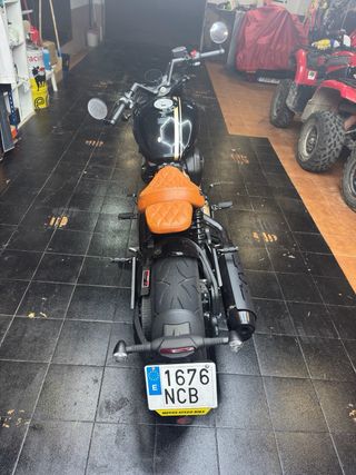 Benda Napoleonbob 500 Negra y Dorada.