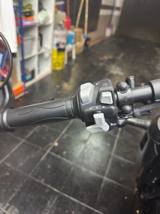 Benda Napoleonbob 500 Negra y Dorada.